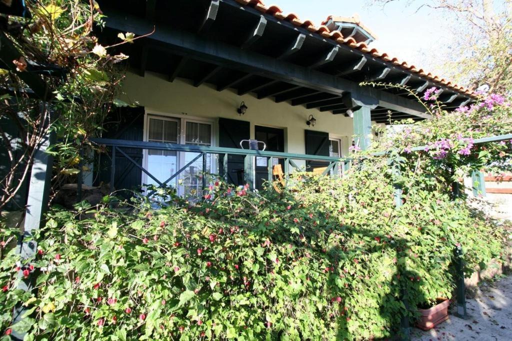 La Casa De Gene Villa Ruilobuca Ngoại thất bức ảnh